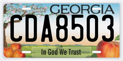 GA license plate CDA8503