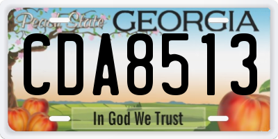 GA license plate CDA8513