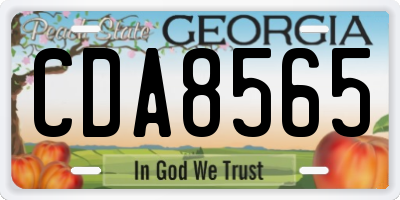 GA license plate CDA8565