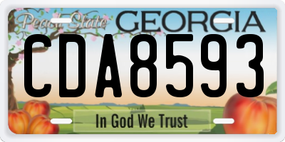 GA license plate CDA8593
