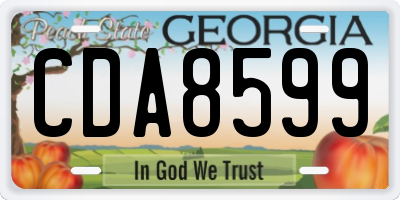 GA license plate CDA8599