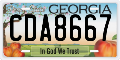 GA license plate CDA8667