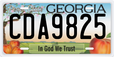 GA license plate CDA9825
