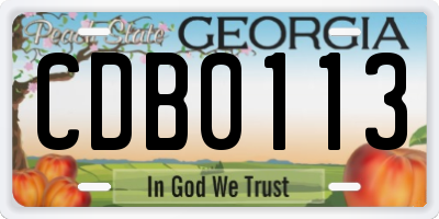 GA license plate CDB0113
