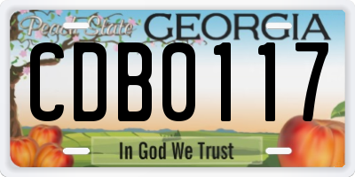 GA license plate CDB0117