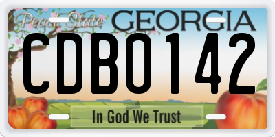 GA license plate CDB0142