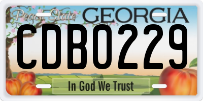 GA license plate CDB0229
