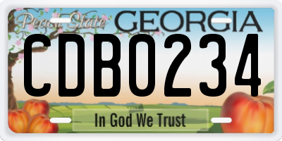 GA license plate CDB0234