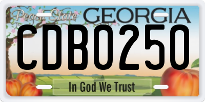 GA license plate CDB0250