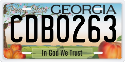 GA license plate CDB0263