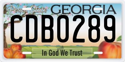 GA license plate CDB0289