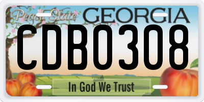 GA license plate CDB0308