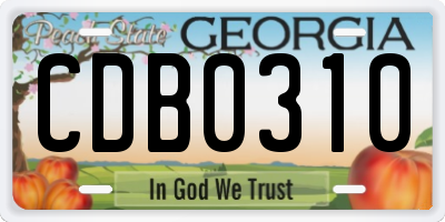 GA license plate CDB0310