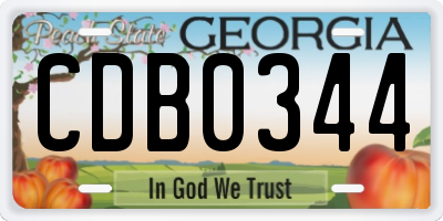 GA license plate CDB0344