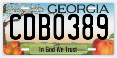 GA license plate CDB0389