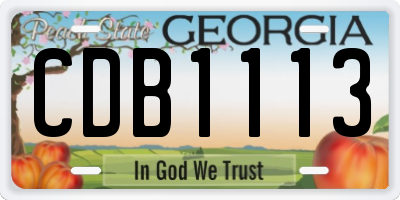 GA license plate CDB1113