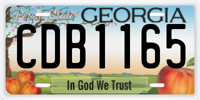 GA license plate CDB1165