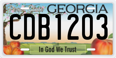 GA license plate CDB1203