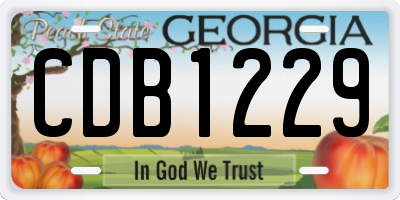 GA license plate CDB1229