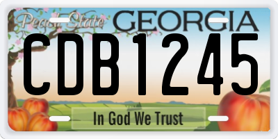 GA license plate CDB1245