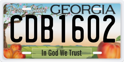 GA license plate CDB1602