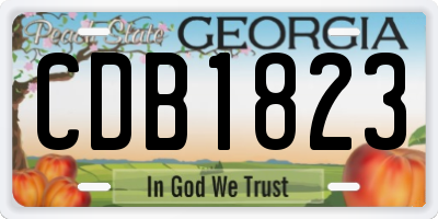 GA license plate CDB1823