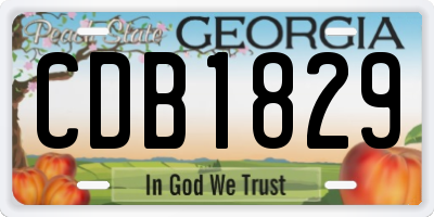 GA license plate CDB1829
