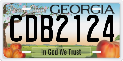 GA license plate CDB2124