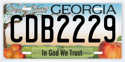 GA license plate CDB2229
