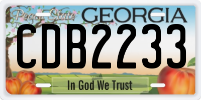 GA license plate CDB2233