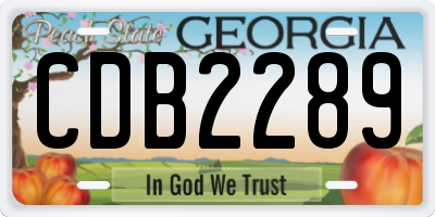 GA license plate CDB2289