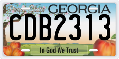 GA license plate CDB2313