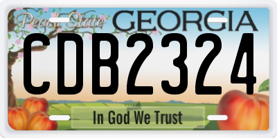 GA license plate CDB2324