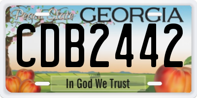 GA license plate CDB2442