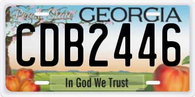 GA license plate CDB2446