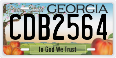 GA license plate CDB2564