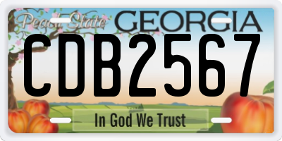 GA license plate CDB2567