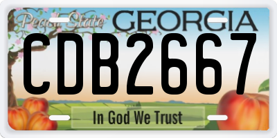 GA license plate CDB2667