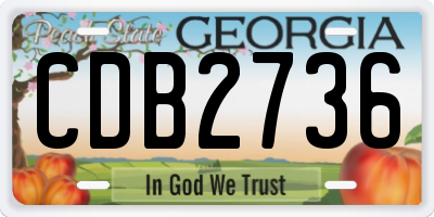 GA license plate CDB2736
