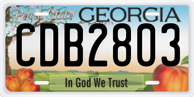 GA license plate CDB2803