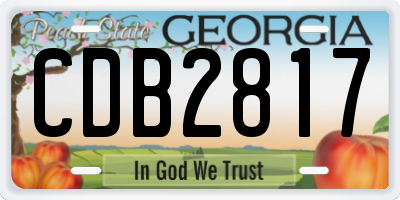 GA license plate CDB2817