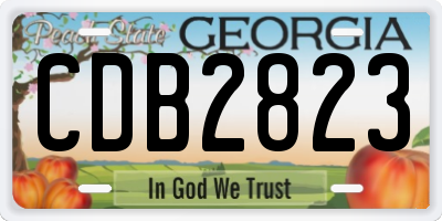 GA license plate CDB2823