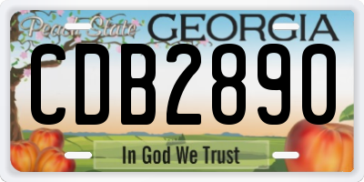 GA license plate CDB2890