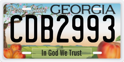 GA license plate CDB2993