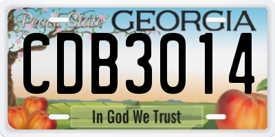 GA license plate CDB3014