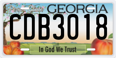 GA license plate CDB3018
