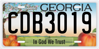GA license plate CDB3019