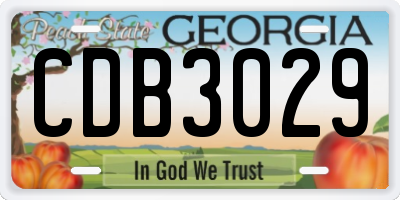 GA license plate CDB3029