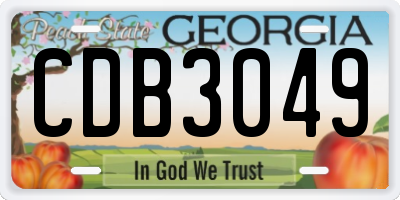 GA license plate CDB3049