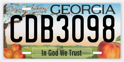 GA license plate CDB3098